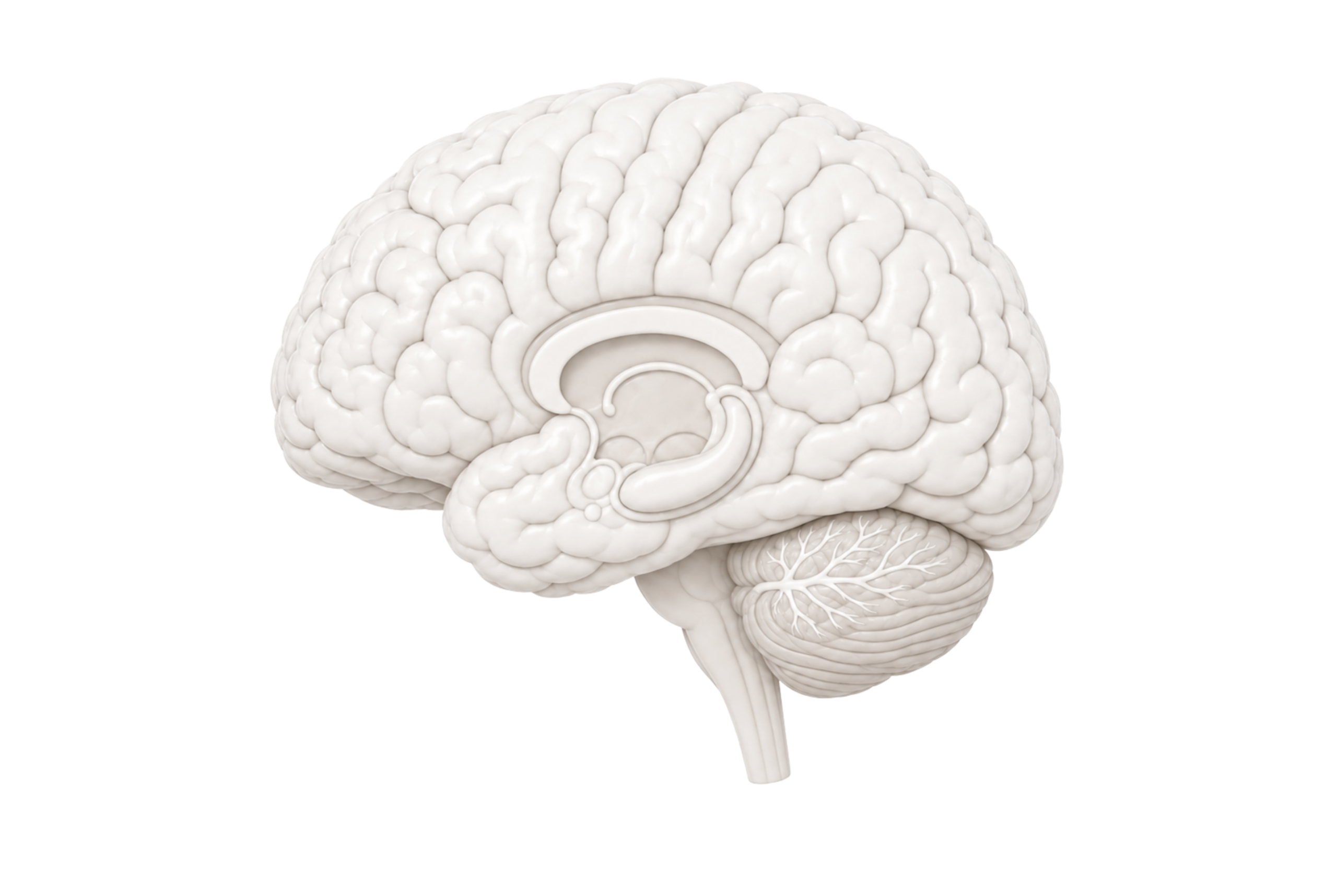 No colour brain